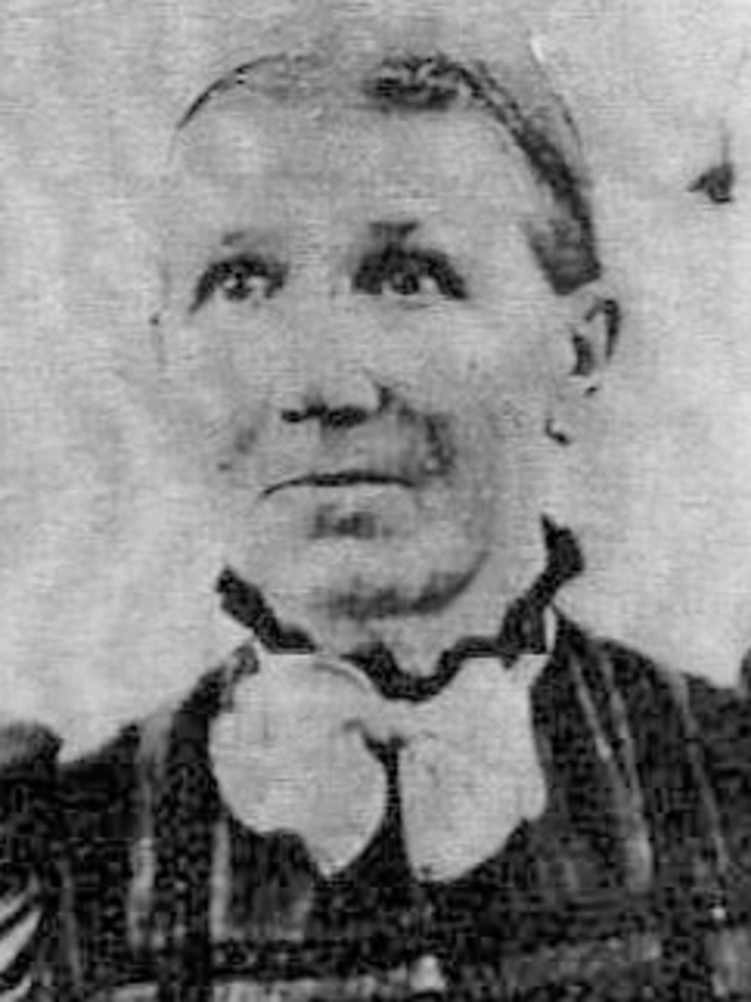 Ruth Ann Van Valkenburg (1833 - 1913) Profile